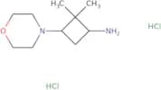 2,2-Dimethyl-3-(morpholin-4-yl)cyclobutan-1-amine dihydrochloride