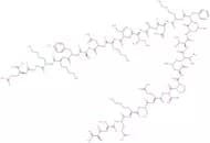 β-Endorphin (6-31) (human)
