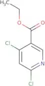 Ethyl 4,6-dichloronicotinate