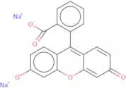 Fluorescein disodium salt