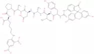 FITC-Tyr-Val-Ala-Asp-Ala-Pro-Lys(Dnp)-OH (Contains FITC isomer I)