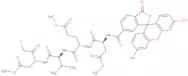 Fluorescein-6-carbonyl-Asp(OMe)-Glu(OMe)-Val-DL-Asp(OMe)-fluoromethylketone