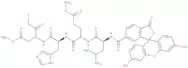 Fluorescein-6-carbonyl-Leu-Glu(OMe)-His-DL-Asp(OMe)-fluoromethylketone