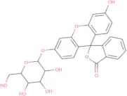 Fluorescein-β-d-glucopyranoside