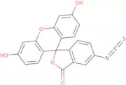 Fluorescein isothiocyanate