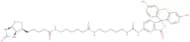 Fluorescein-sp-biotin