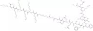 Gly-Amyloid b-Protein (15-25)-Gly-ε-aminocaproyl(-Lys)6