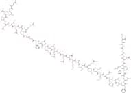 Galanin Message Associated Peptide (1-41) amide trifluoroacetate salt