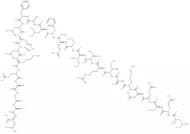 Galanin Message Associated Peptide (16-41) amide