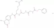Z-Gly-Gly-Arg-AMC·HCl