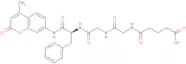 Glutaryl-Gly-Gly-Phe-AMC