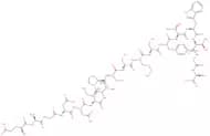 H-Glu-Ala-Gly-Asp-Asp-Ile-Val-Pro-Cys-Ser-Met-Ser-Tyr-Thr-Trp-Thr-Gly-Ala-OH
