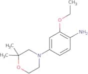 4-(2,2-Dimethylmorpholin-4-yl)-2-ethoxyaniline