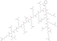 HIV-1 rev Protein (34-50)