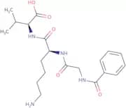 Hippuryl-Lys-Val-OH