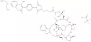 Coumarin-Phalloidin