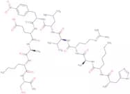 HIV Protease Substrate III