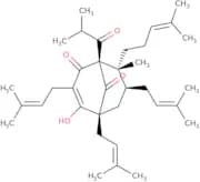 Hyperforin - solution in methanol