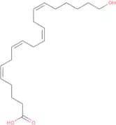 20-HETE - 0.01%, in ethanol