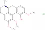 (+)-Isocorydine HCl