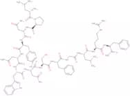 Kisspeptin-13 (human) trifluoroacetate salt