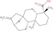 Kaurenoic acid