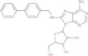 Cnt2 inhibitor-1