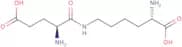 H-Lys(retro-Glu-H)-OH