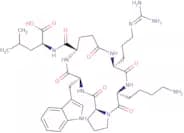 (Lys9,Trp11,Glu12)-Neurotensin (8-13) (Cyclic Analog)