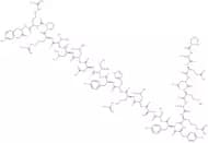 (Leu31,Pro34)-Neuropeptide Y (13-36) (human, rat)