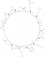 Lactoferrin N-Lobe (231-245) (human)