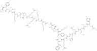 (D-Lys16)-ACTH (1-24) (human, bovine, rat) trifluoroacetate salt