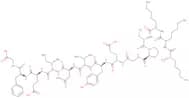 Lys-Lys-IRS-1 (891-902) (dephosphorylated) (human) trifluoroacetate salt