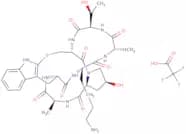 (Lys7)-Phalloidin trifluoroacetate
