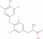 Levothyroxine