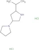2-(Propan-2-yl)-4-(pyrrolidin-1-yl)pyrrolidine dihydrochloride