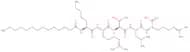 Myristoyl-Lys-Arg-Thr-Leu-Arg-OH