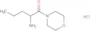 [1-(Morpholin-4-ylcarbonyl)butyl]amine hydrochloride