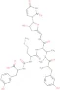 Mureidomycin A