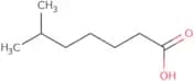 6-Methylheptanoic acid