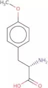 O-Methyl-L-tyrosine