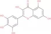 Myricetin