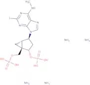 MRS 2500 tetraammonium