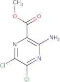 Methyl 3-amino-5,6-dichloro-2-pyrazine carboxylate