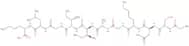 (Nle 35)-Amyloid b-Protein (25-35) trifluoroacetate salt