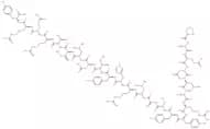 Neuropeptide Y (13-36) (porcine) trifluoroacetate salt