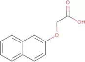 2-Naphthoxyacetic acid