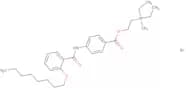 Octylonium bromide