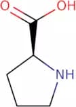 L-Proline