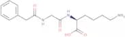 Phenylac-Gly-Lys-OH
